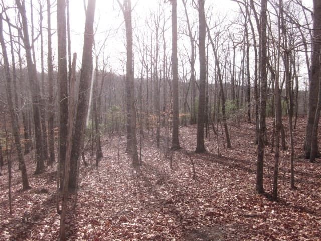 0 Sparks Way, Talking Rock GA 30175 - Photo
