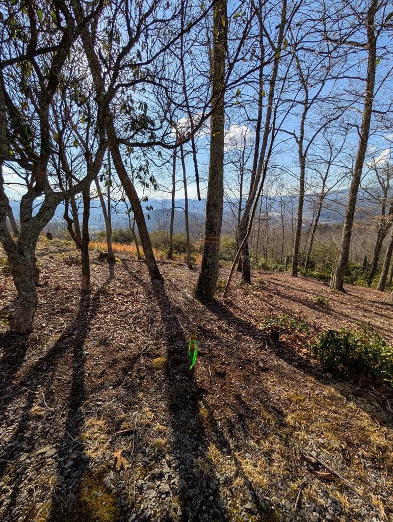 L-16&17 Summit Drive, Hayesville NC 28904 - Photo