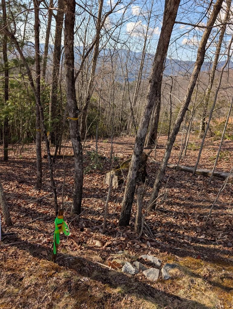 L-16&17 Summit Drive, Hayesville NC 28904 - Photo