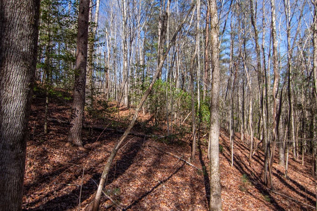 0 Meredith Drive, Turtletown TN 37391 - Photo