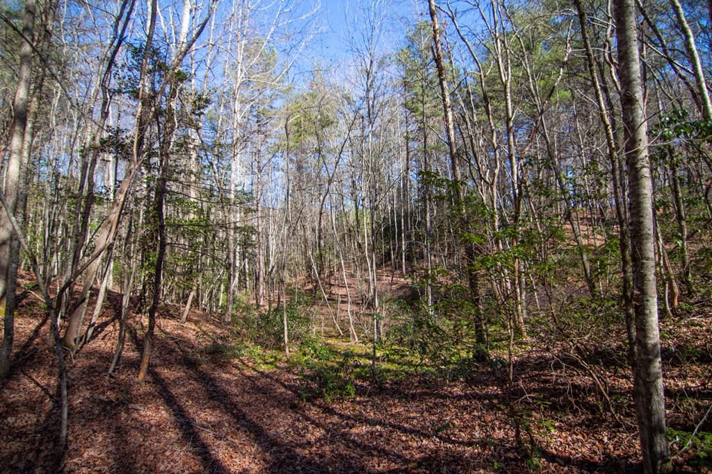 0 Meredith Drive, Turtletown TN 37391 - Photo