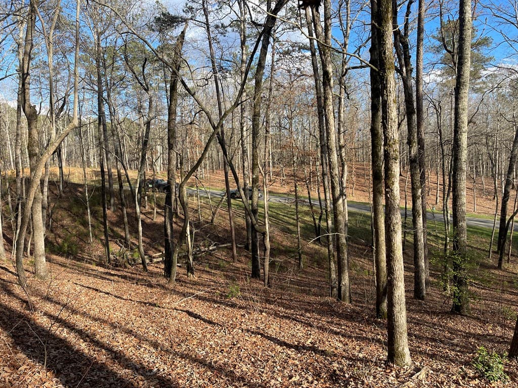 Lot# 208 Pinnacle Drive, Ellijay GA 30540 - Photo