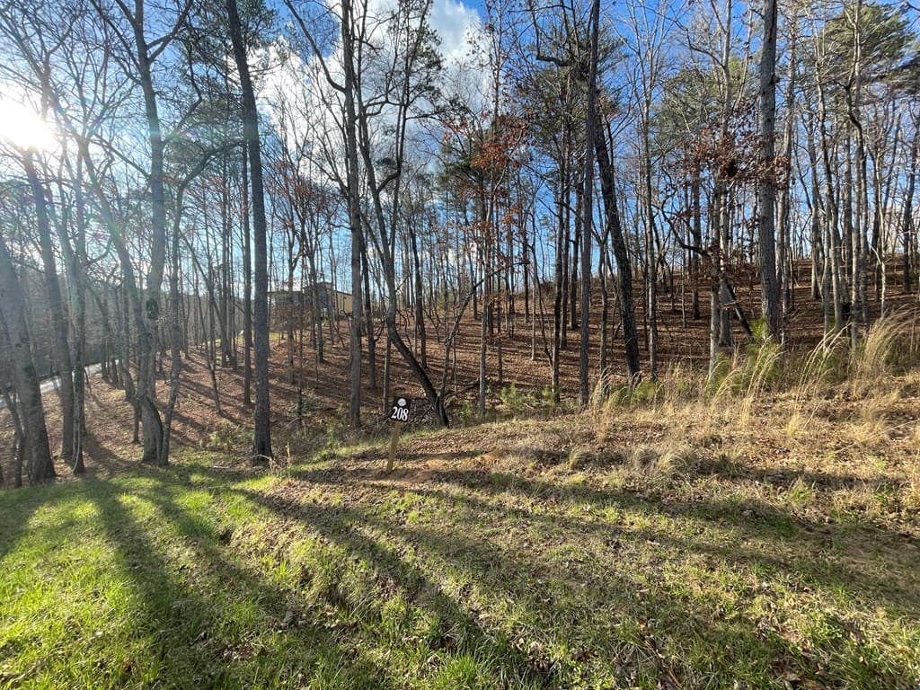 Lot# 208 Pinnacle Drive, Ellijay GA 30540 - Photo