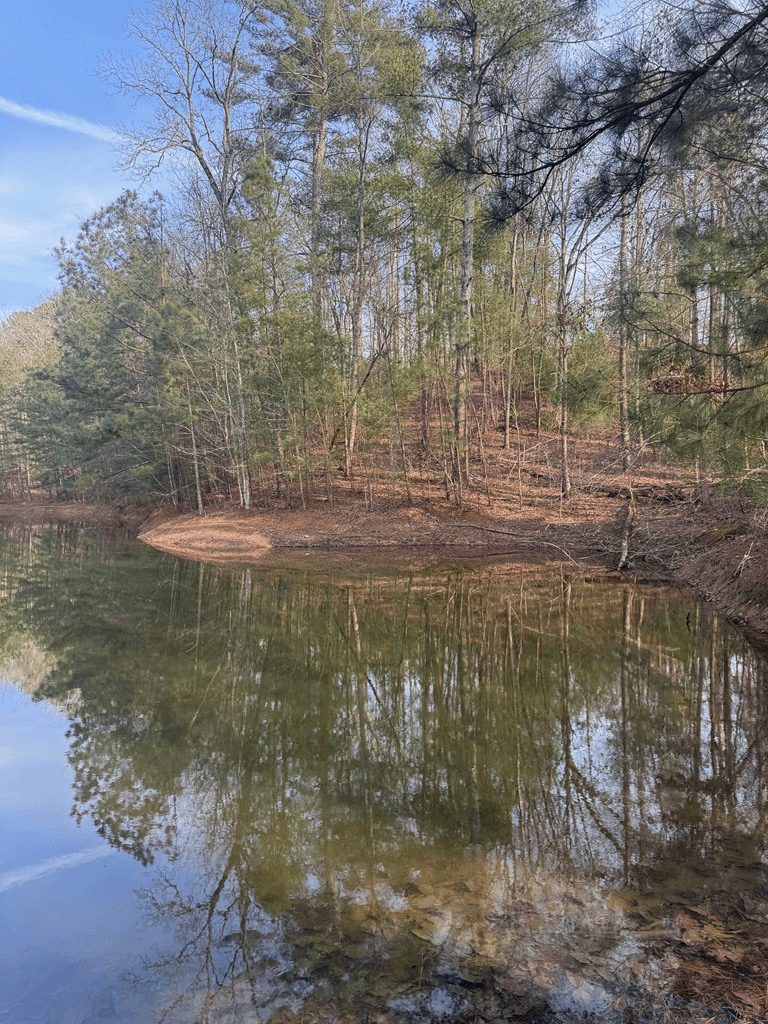 208 Lake Forest Drive, Ellijay GA 30540 - Photo
