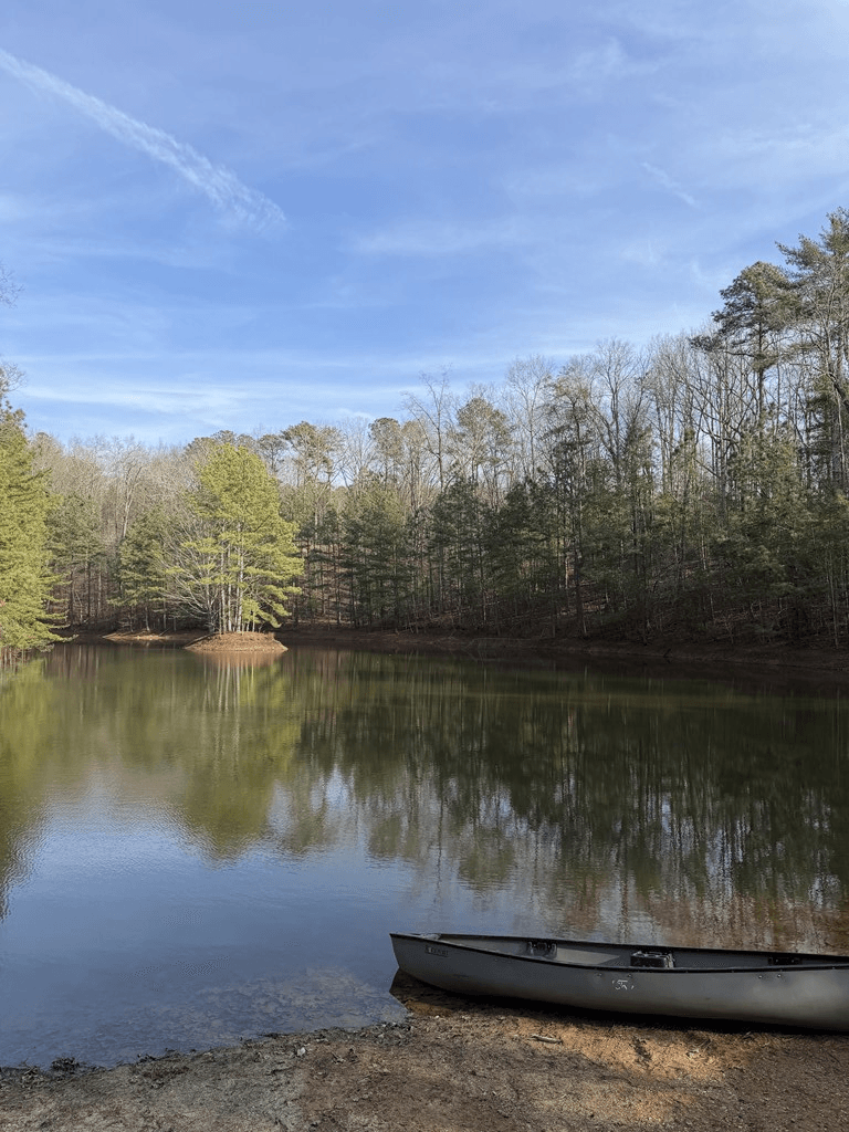 208 Lake Forest Drive, Ellijay GA 30540 - Photo