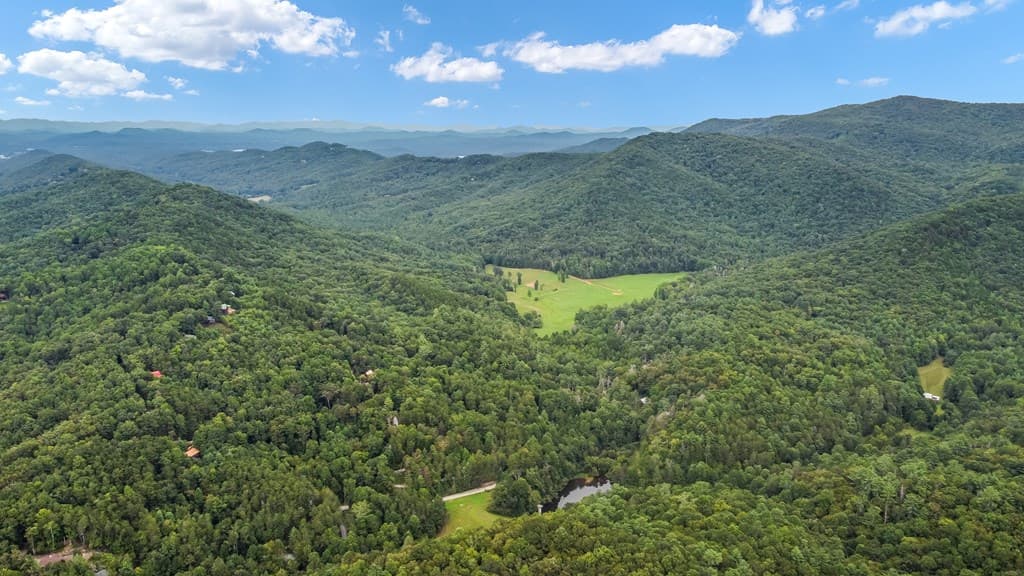 Lot 9 Laurel Creek Trail, Blue Ridge GA 30513 - Photo