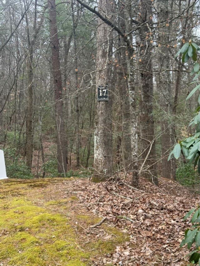 16R Leatherwood Mountain Road, Cherry Log GA 30522 - Photo