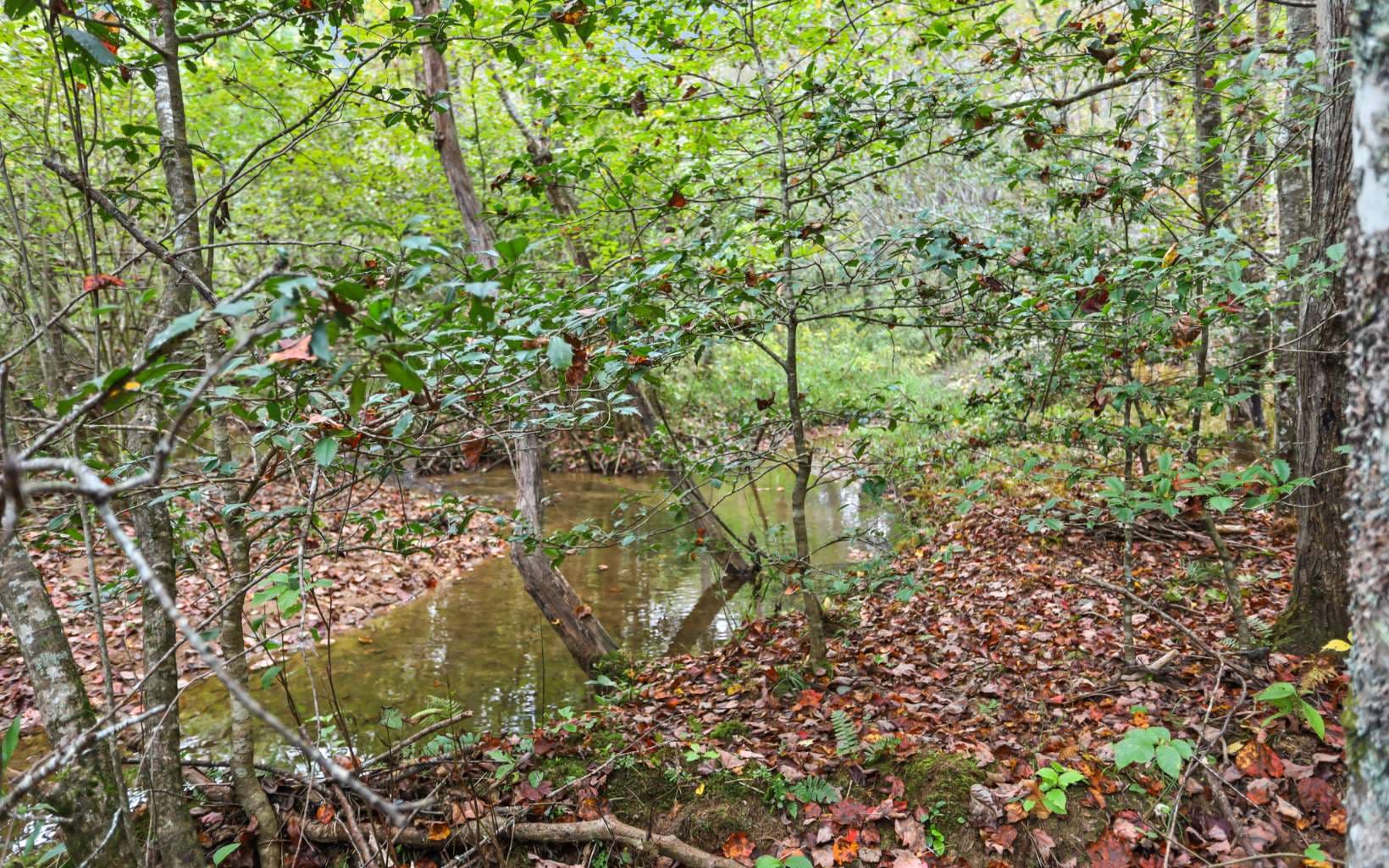 1955 Cavender Gap Road, Suches GA 30572 - Photo