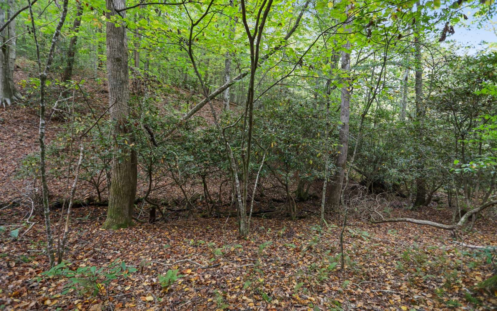 1955 Cavender Gap Road, Suches GA 30572 - Photo