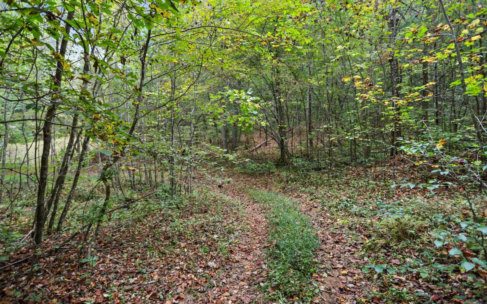 1955 Cavender Gap Road, Suches GA 30572 - Photo