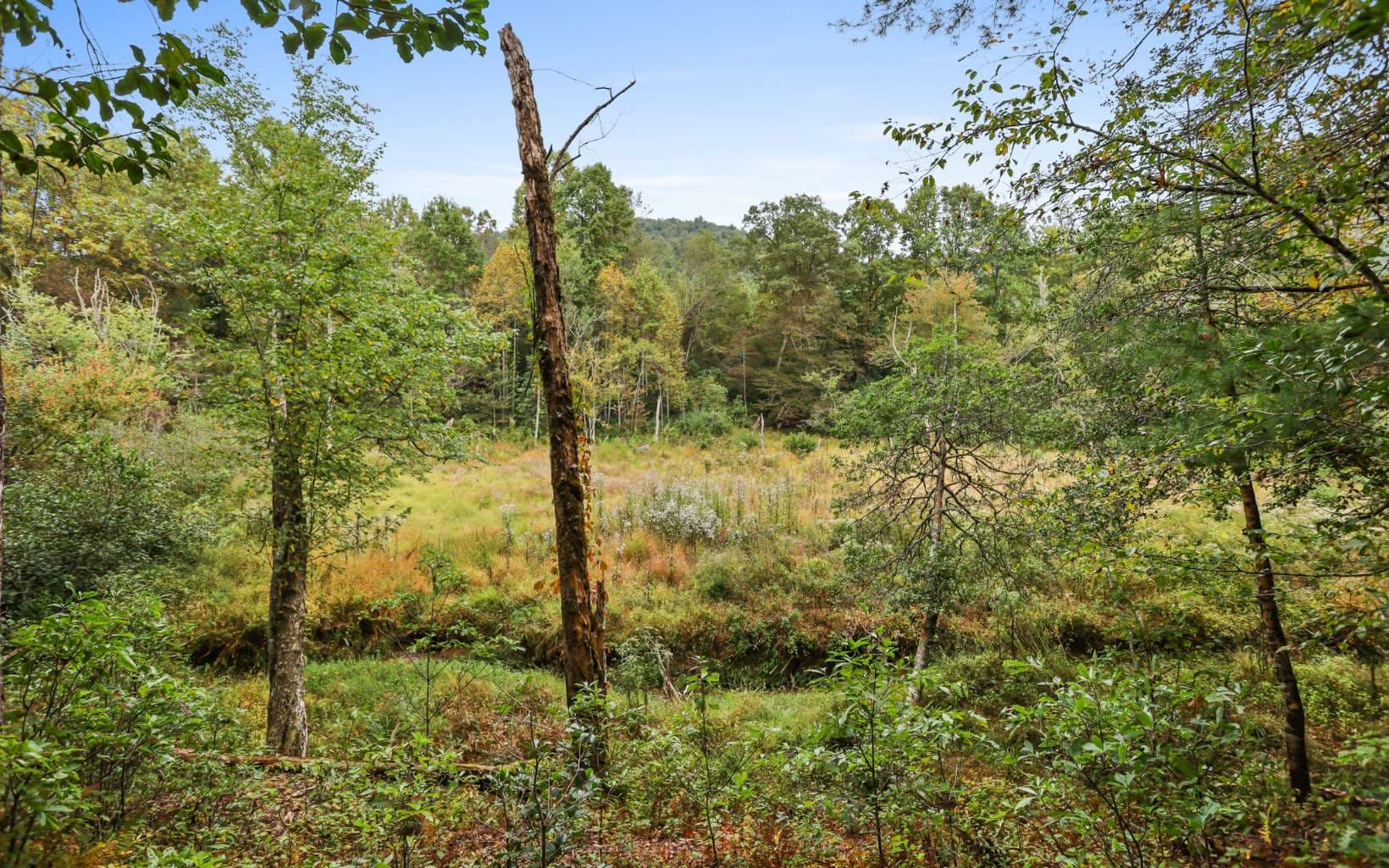 1955 Cavender Gap Road, Suches GA 30572 - Photo