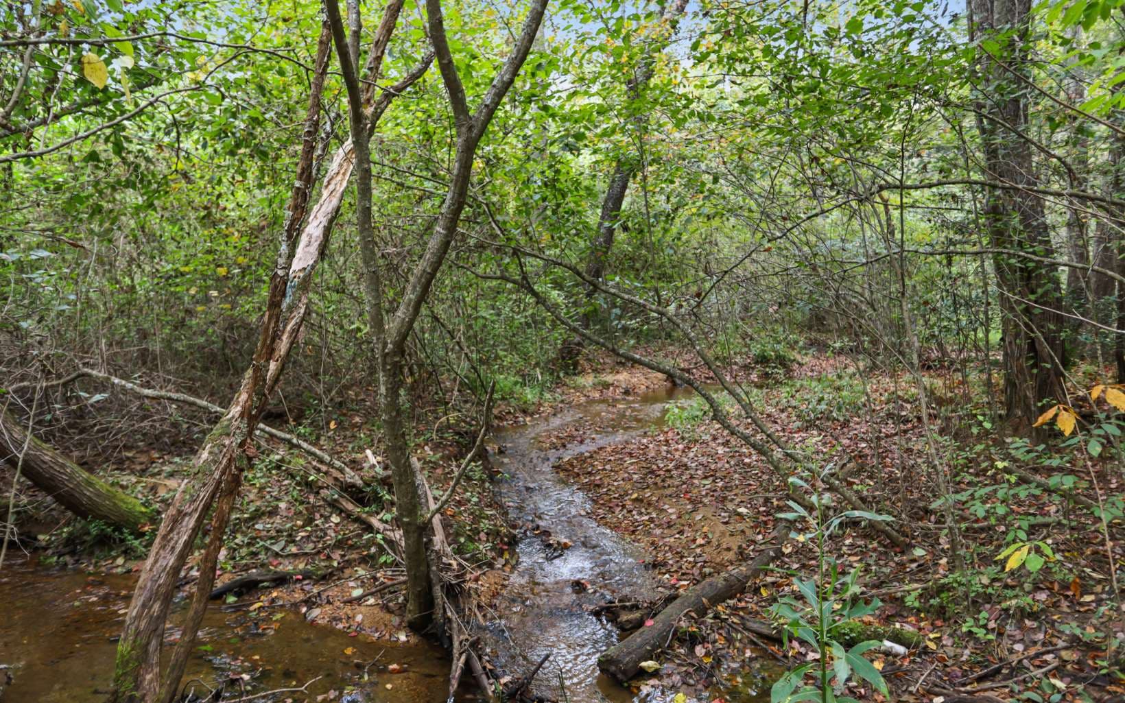 1955 Cavender Gap Road, Suches GA 30572 - Photo