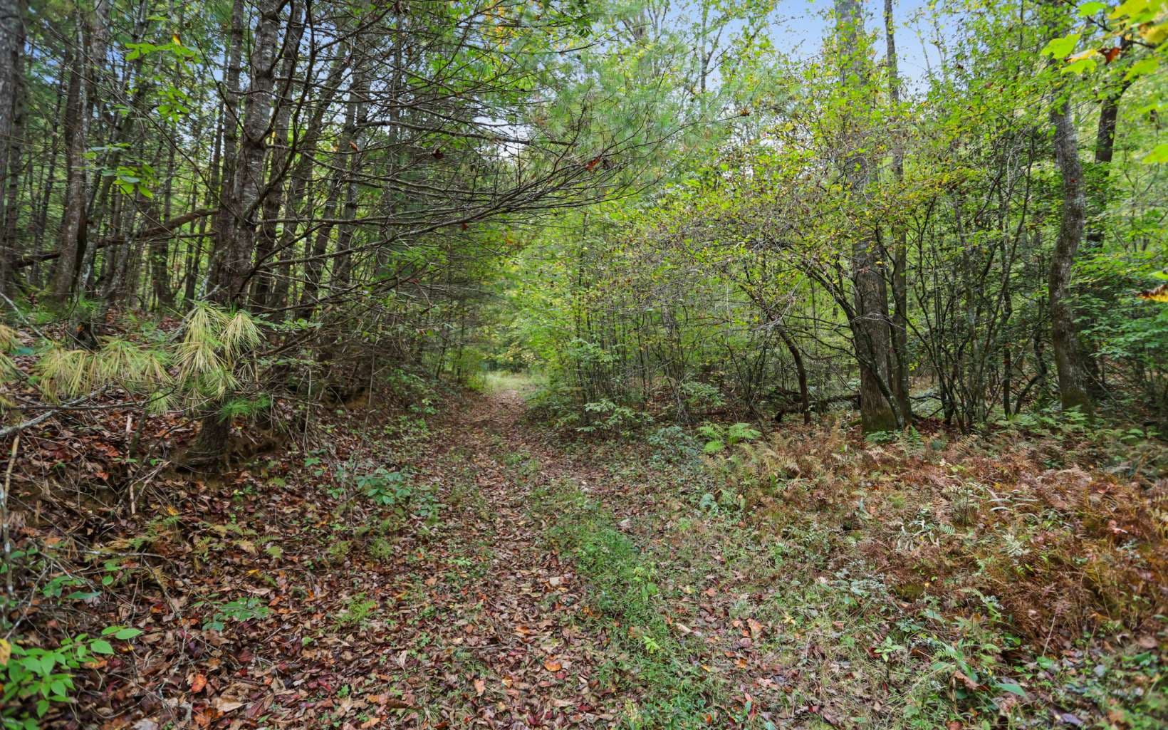 1955 Cavender Gap Road, Suches GA 30572 - Photo