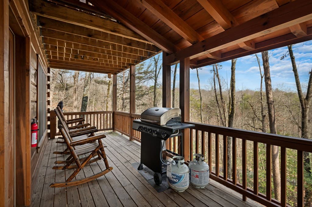 275 N Moreland Drive, Cherry Log GA 30522 - Photo