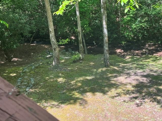 125 Jess Hooper Drive, Hayesville NC 28904 - Photo