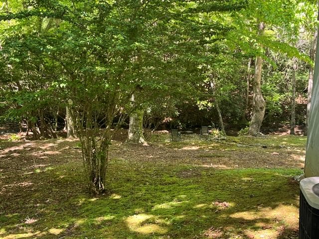 125 Jess Hooper Drive, Hayesville NC 28904 - Photo