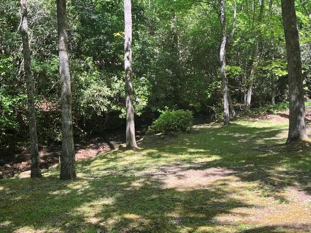 125 Jess Hooper Drive, Hayesville NC 28904 - Photo