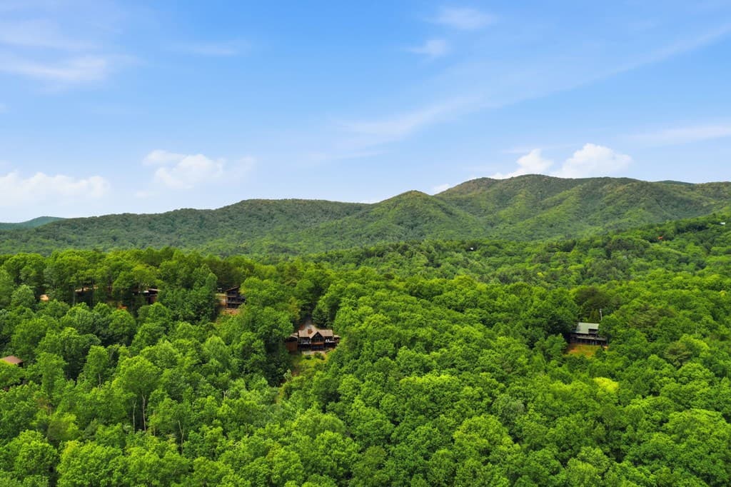 1564 Big Ben Road, Ellijay GA 30540 - Photo