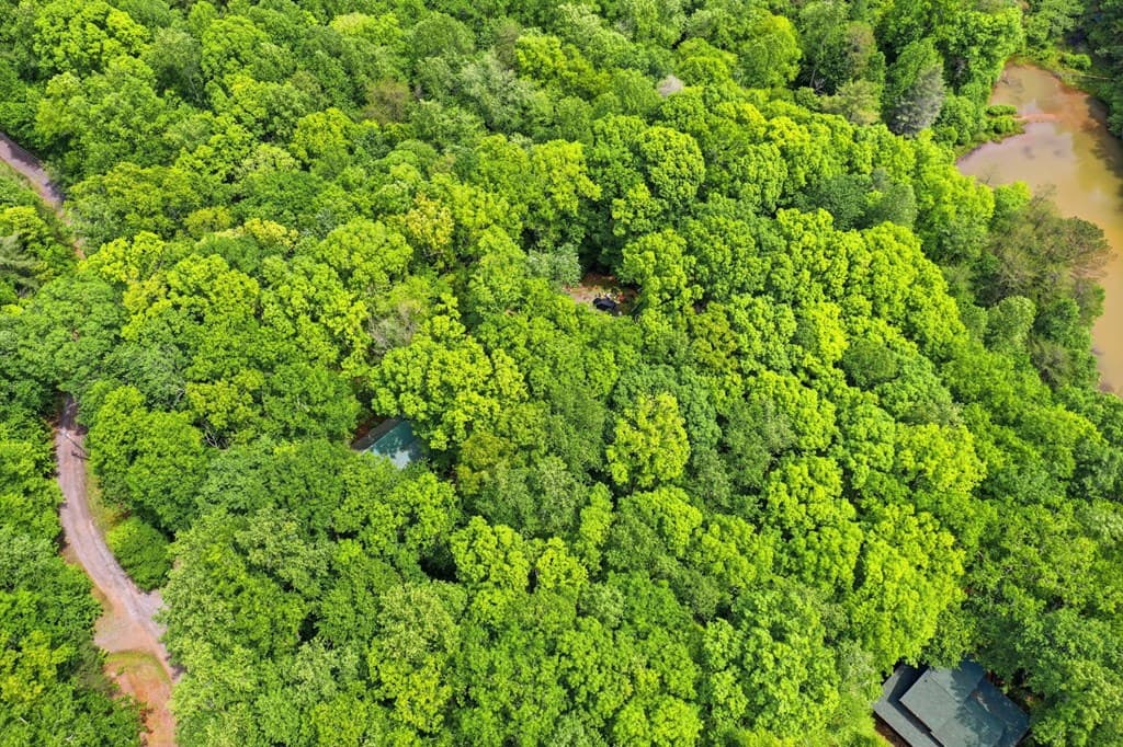 1564 Big Ben Road, Ellijay GA 30540 - Photo