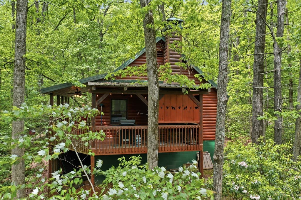 1564 Big Ben Road, Ellijay GA 30540 - Photo