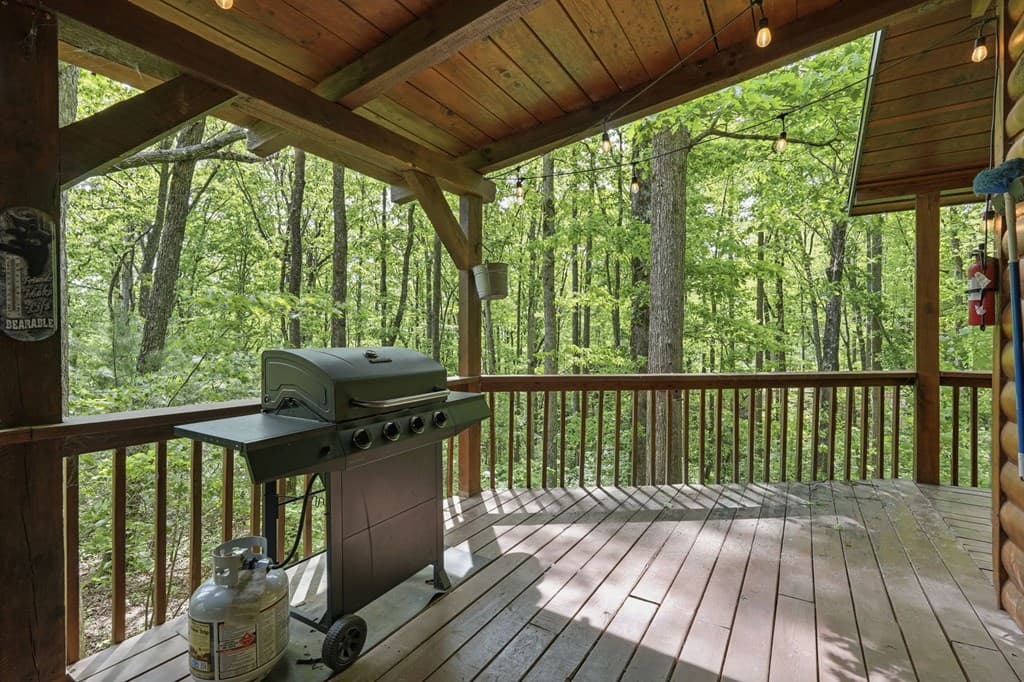 1564 Big Ben Road, Ellijay GA 30540 - Photo