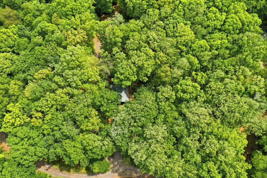 1564 Big Ben Road, Ellijay GA 30540 - Photo