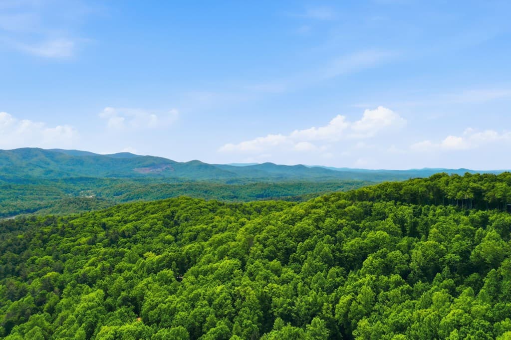 1564 Big Ben Road, Ellijay GA 30540 - Photo