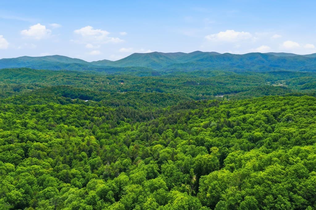 1564 Big Ben Road, Ellijay GA 30540 - Photo