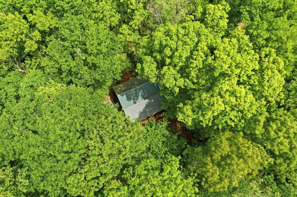 1564 Big Ben Road, Ellijay GA 30540 - Photo