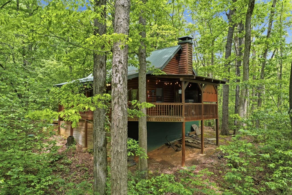 1564 Big Ben Road, Ellijay GA 30540 - Photo