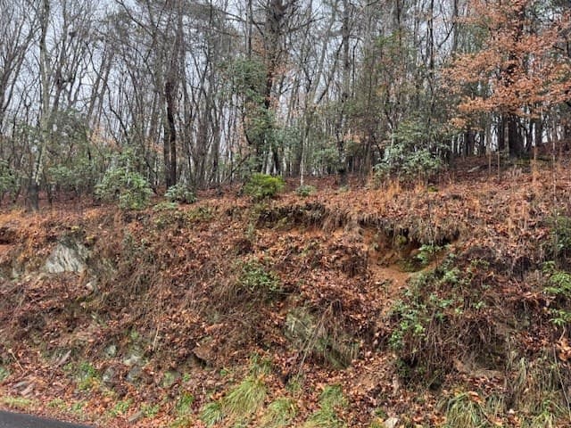 Lot 171 Beaver Lake Drive, Ellijay GA 30540 - Photo