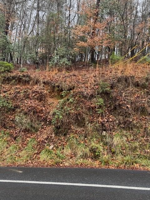 Lot 171 Beaver Lake Drive, Ellijay GA 30540 - Photo