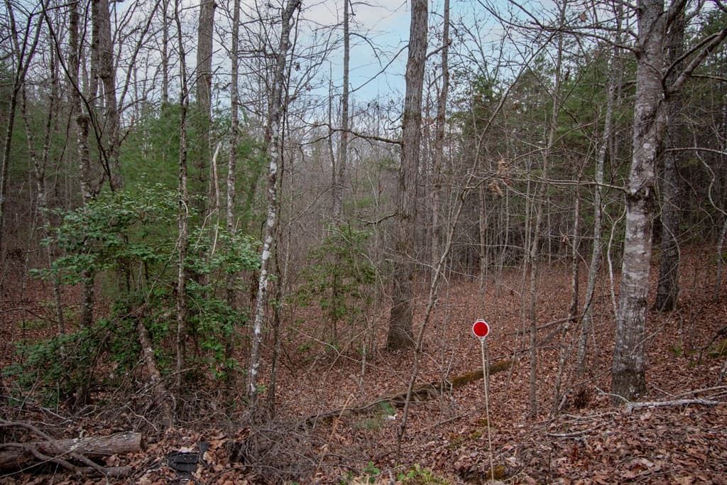 Lot 38 Posey Place, Murphy NC 28906 - Photo