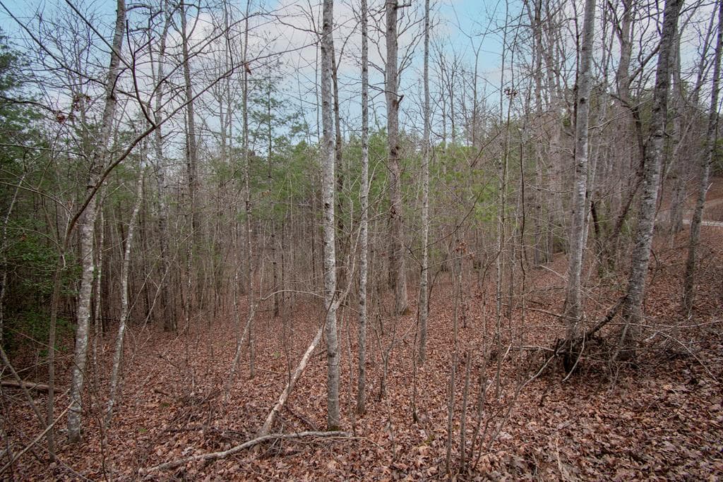 Lot 38 Posey Place, Murphy NC 28906 - Primary photo