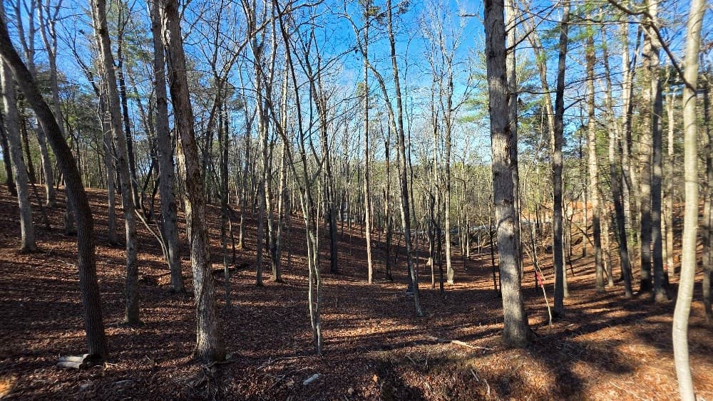 128R Red Oak Trail, Ellijay GA 30540 - Photo