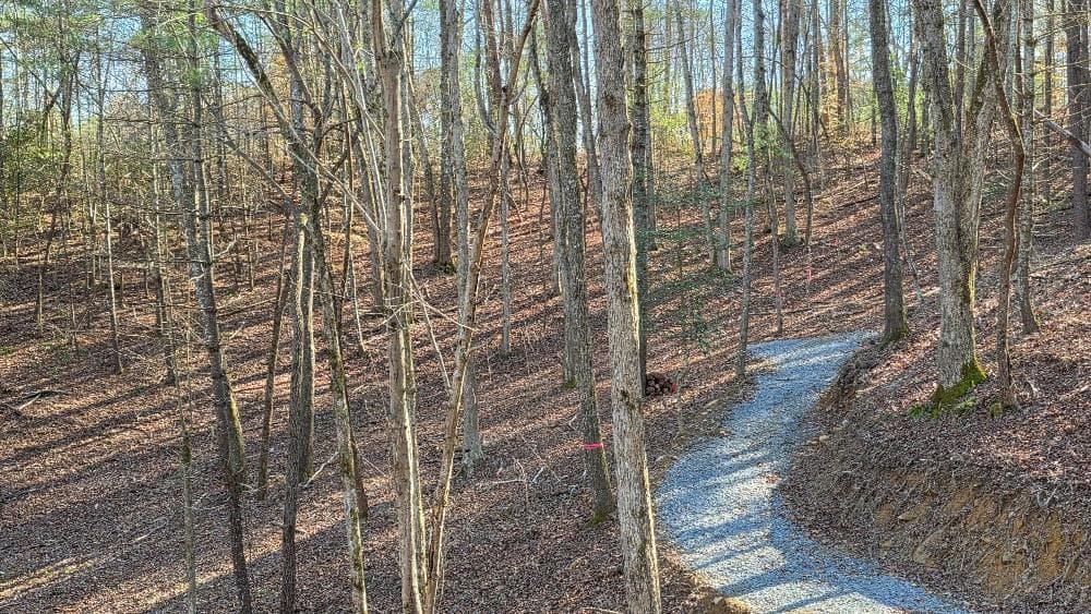 137 Red Oak Trail, Ellijay GA 30540 - Photo