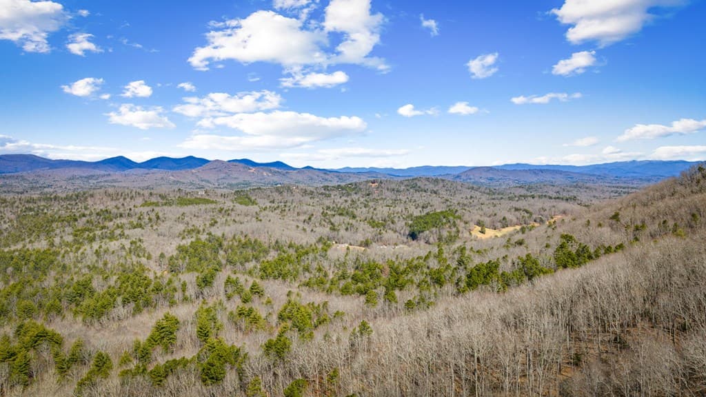 Lot 20 Raven Ridge Circle, Mineral Bluff GA 30559 - Photo