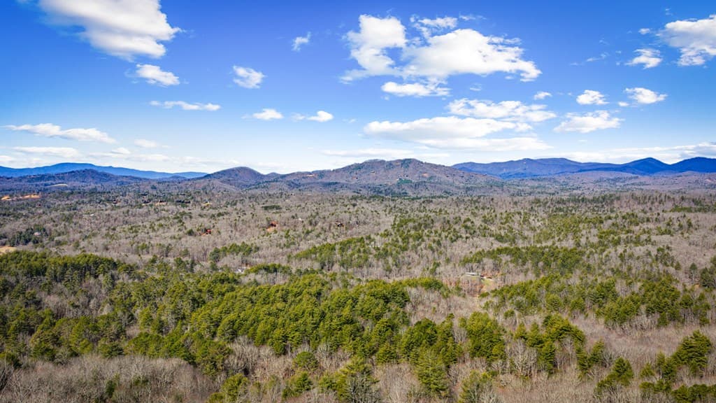 Lot 20 Raven Ridge Circle, Mineral Bluff GA 30559 - Photo
