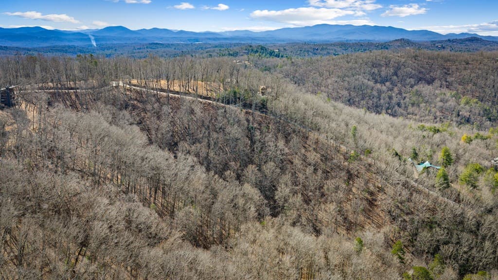 Lot 20 Raven Ridge Circle, Mineral Bluff GA 30559 - Photo