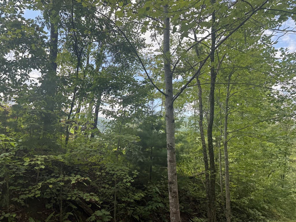 0000 Bethabara View, Hayesville NC 28904 - Photo