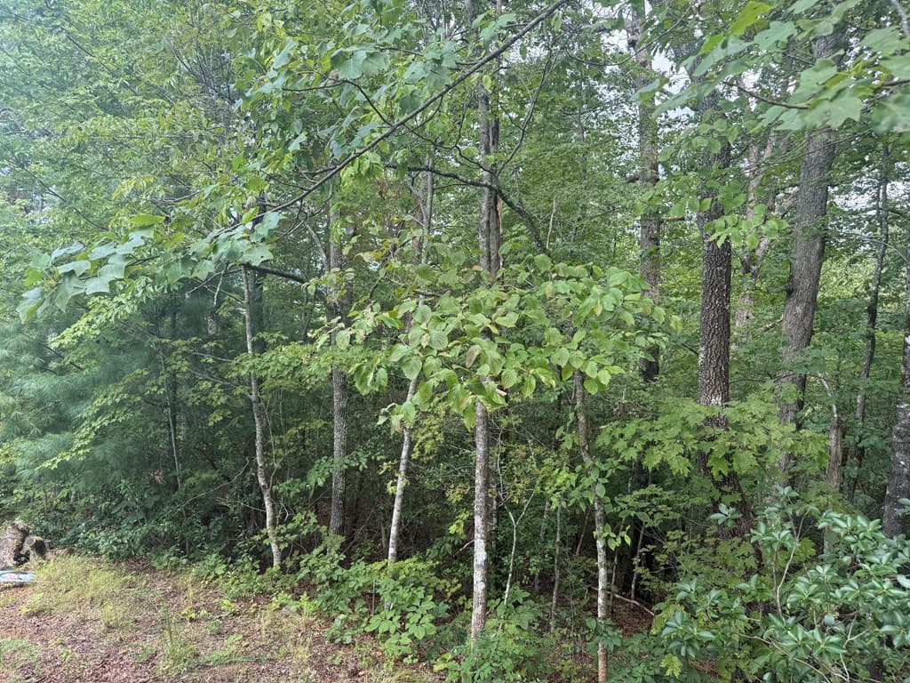 0000 Bethabara View, Hayesville NC 28904 - Photo