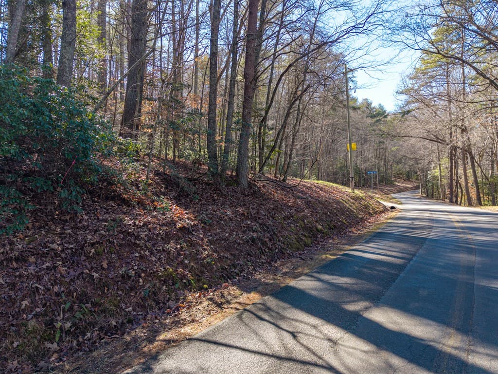 112 Big Pine Hill, Blairsville GA 30512 - Photo