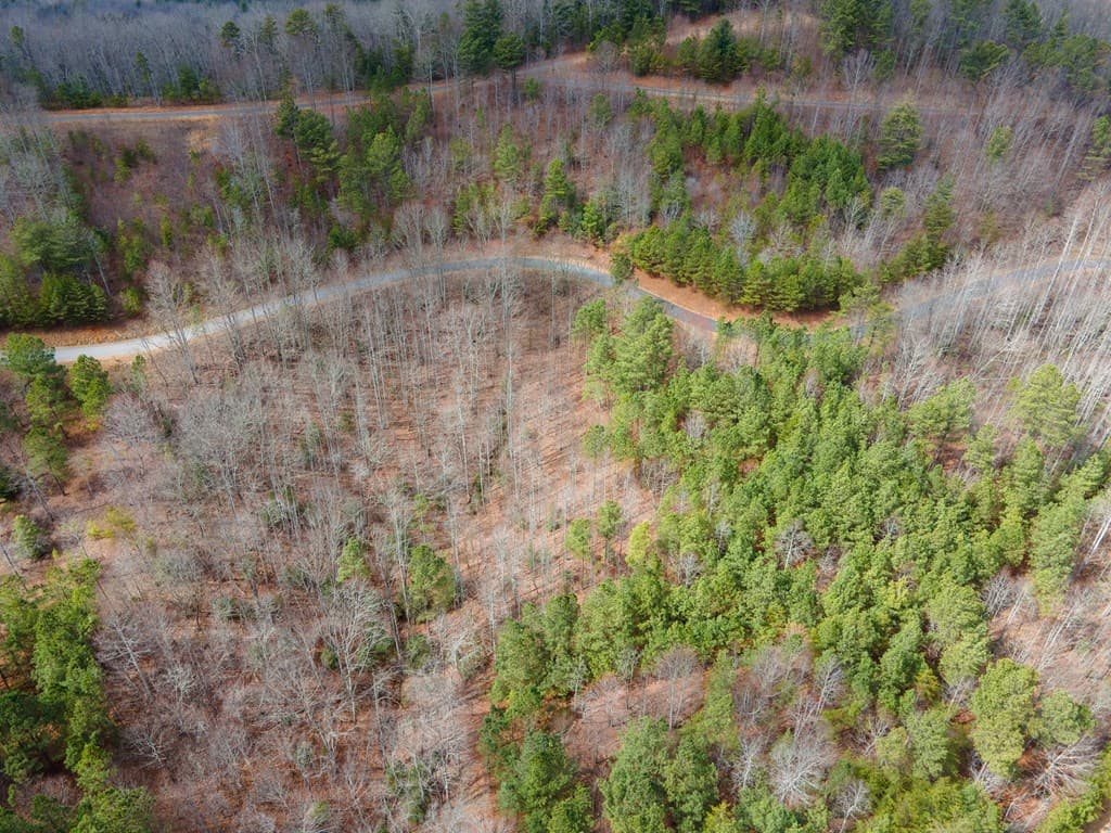 19/20 Summer Cove Road, Blairsville GA 30512 - Photo