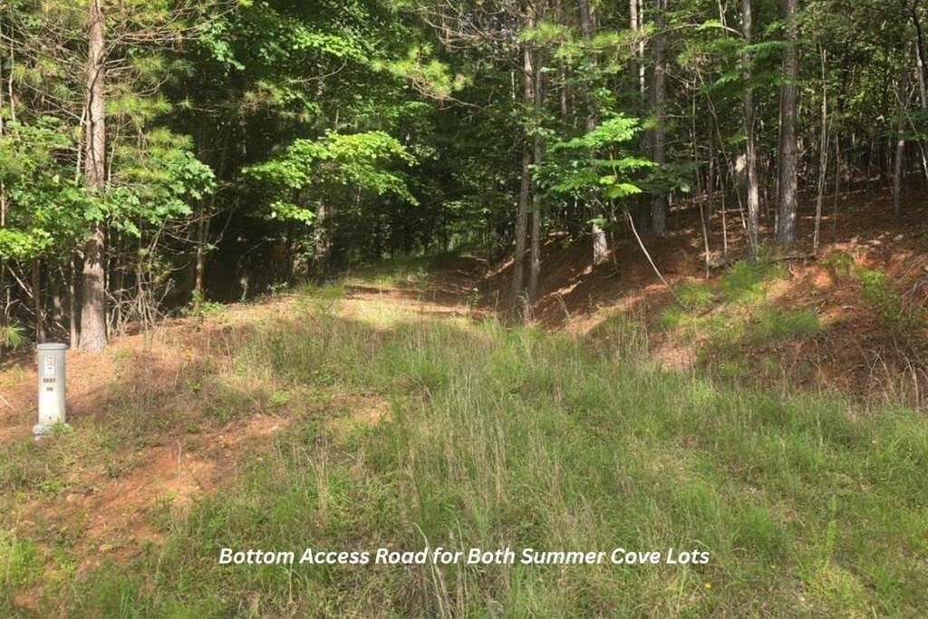 19/20 Summer Cove Road, Blairsville GA 30512 - Photo