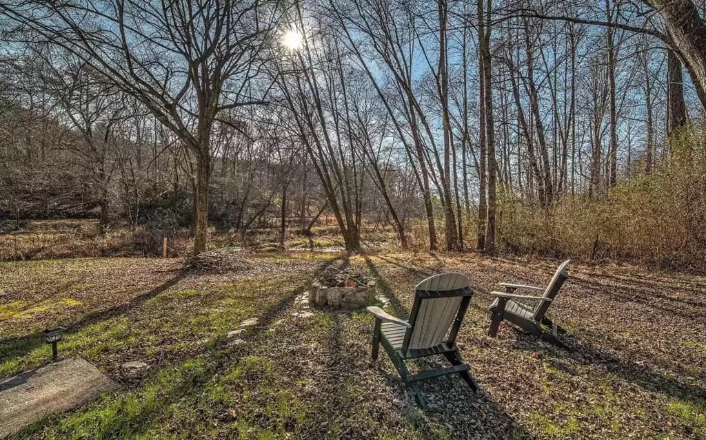 141 Mountain Rivers Road, Mineral Bluff GA 30559 - Photo