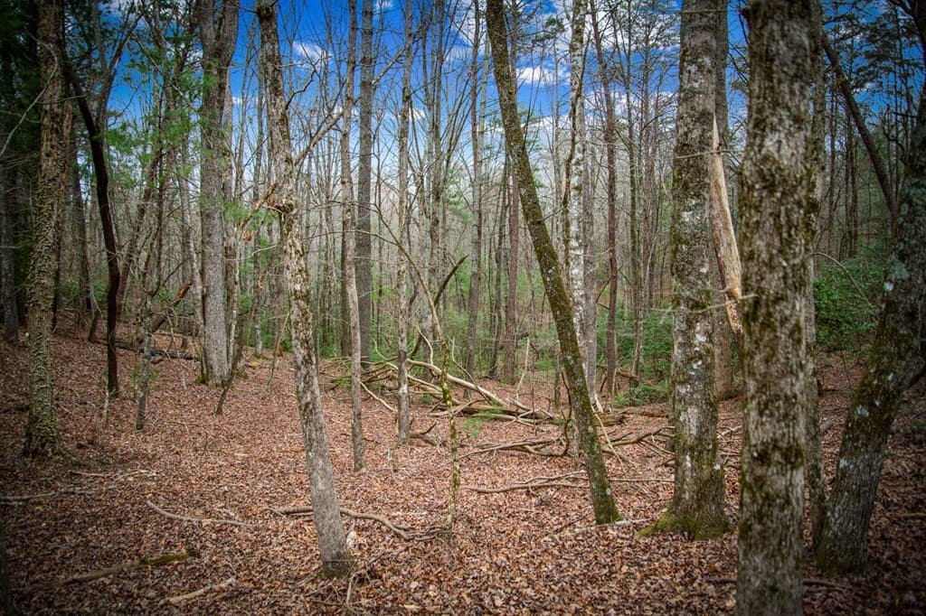 0 Seneca Drive, Ellijay GA 30540 - Photo