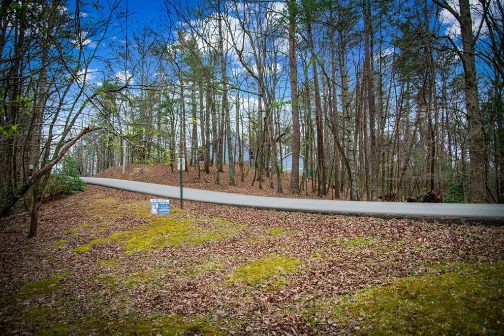 0 Seneca Drive, Ellijay GA 30540 - Photo