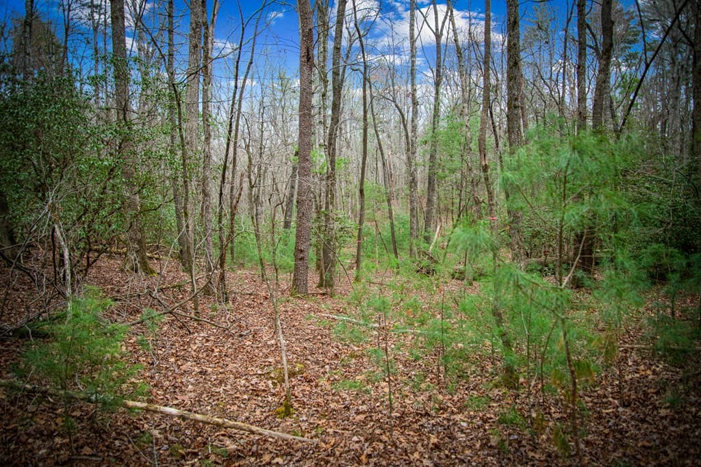 0 Seneca Drive, Ellijay GA 30540 - Photo