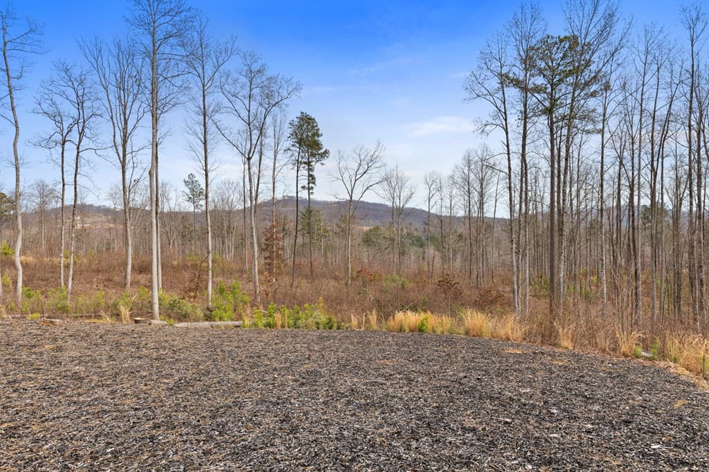 1281 Twisted Oak Road, Talking Rock GA 30175 - Photo