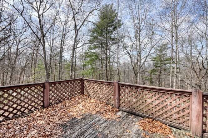 99 Highland Circle, Blue Ridge GA 30513 - Photo